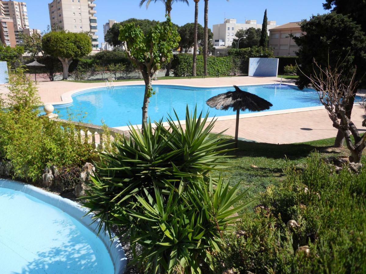 Cinco Torres El Campello Daire Dış mekan fotoğraf